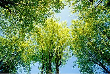 《黑道圣徒：重启版》现身Steam后台 预计8月发售